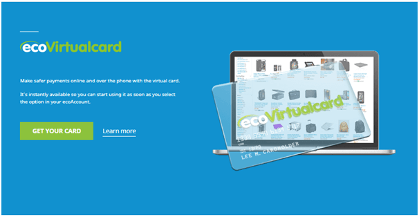 EcoPayz features