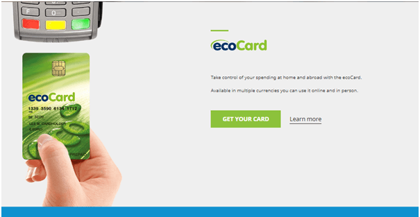 Ecopayz features